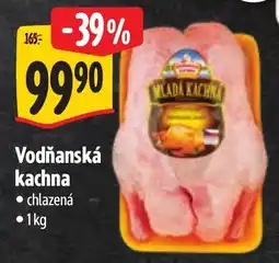Albert Vodňanská kachna nabídka