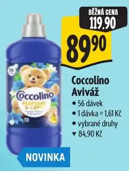 Albert Coccolino Aviváž nabídka