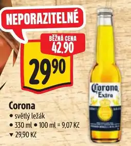 Albert Corona světlý ležák nabídka
