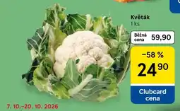 Tesco Květák nabídka