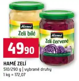 Terno Hamé zelí nabídka