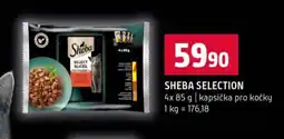 Terno Sheba selection nabídka