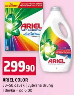 Terno Ariel color nabídka