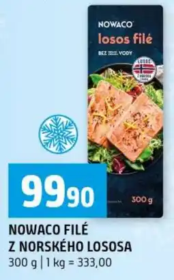 Terno Nowaco filé z norského lososa nabídka
