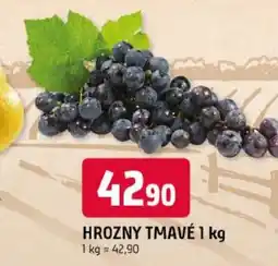 Trefa Hrozny tmavé nabídka