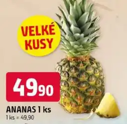 Trefa Ananas nabídka