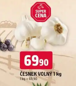 Trefa Česnek volný nabídka