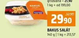 Terno Bakus salát nabídka