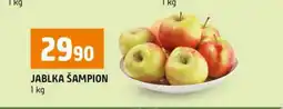 Terno Jablka šampion nabídka