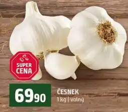 Terno Česnek nabídka