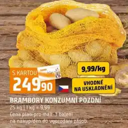 Terno Terma brambory konzumní pozdní nabídka