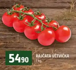 Terno Rajčata větvička nabídka