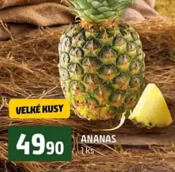 Terno Ananas nabídka
