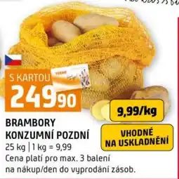 Terno Brambory konzumní pozdní nabídka