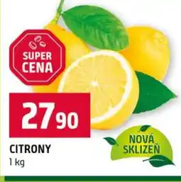 Terno Citrony nabídka