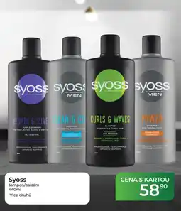 Tamda Foods Syoss šampon/balzám nabídka