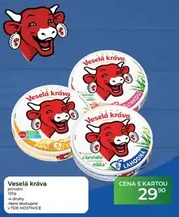 Tamda Foods Veselá kráva nabídka