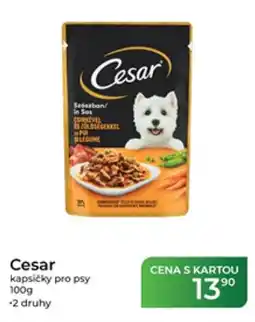 Tamda Foods Cesar kapsičky pro psy nabídka