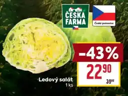 Billa Česká farma ledový salát nabídka