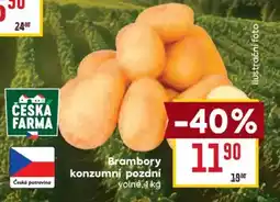 Billa Česká farma brambory konzumní pozdní nabídka