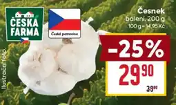 Billa Česká farma česnek nabídka