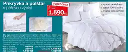 Decodoma Přikrývka a polštář s pěrovou výplní nabídka