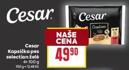 Billa Cesar kapsička pes selection želé nabídka