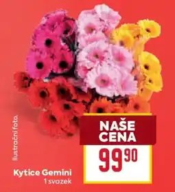 Billa Kytice Gemini nabídka