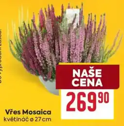 Billa Vřes Mosaic nabídka