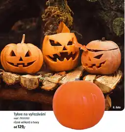 Bauhaus Tykve na vyřezávání nabídka