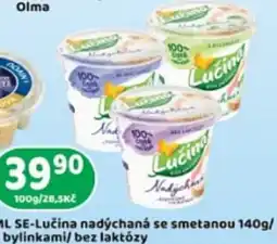 Brněnka Olma SE-Lučina nadýchaná se smetanou bylinkami/ bez laktózy nabídka