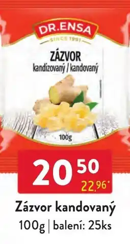 Qanto Dr. Ensa zázvor kandovaný nabídka