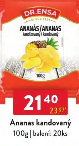 Qanto Dr. Ensa ananas kandovaný nabídka