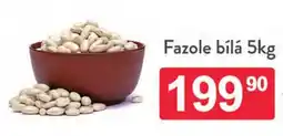 Qanto Fazole bílá nabídka