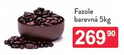 Qanto Fazole barevná nabídka