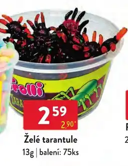 Qanto Irolli želé tarantule nabídka
