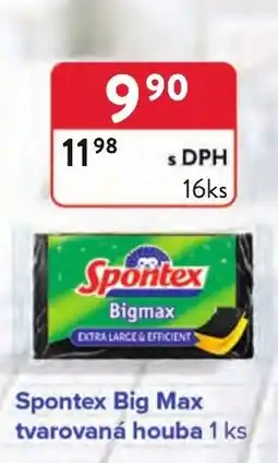 Qanto Spontex Big Max nabídka