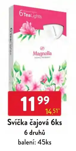 Qanto Magnolia svíčka čajová nabídka