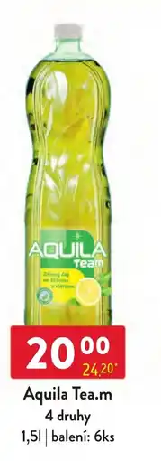 Qanto Aquila Tea.m nabídka
