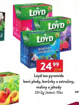Qanto Loyd tea pyramida lesní plody, borůvky a ostružiny, maliny a jahody nabídka