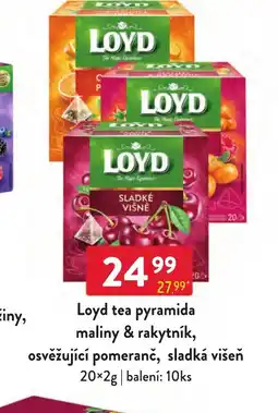 Qanto Loyd tea pyramida maliny & rakytník, osvěžující pomeranč, sladká višeň nabídka