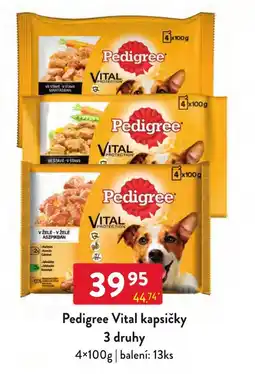 Qanto Pedigree Vital kapsičky nabídka