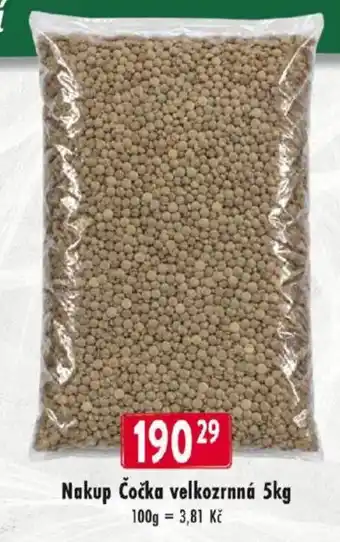 Nakup Čočka velkozrnná