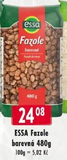 Qanto Essa Fazole barevná nabídka