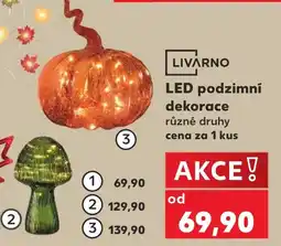Kaufland Livarno LED podzimní dekorace nabídka
