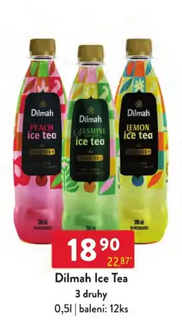 Qanto Dilmah Ice Tea nabídka