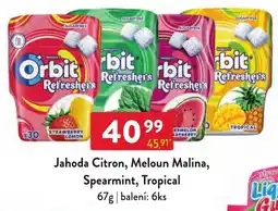 Qanto Orbit Refreshers Jahoda Citron, Meloun Malina, Spearmint, Tropical nabídka