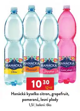 Qanto Hanácká kyselka citron grapefruit pomeranč lesní plody nabídka