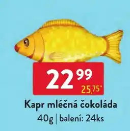 Qanto Kapr mléčná čokoláda nabídka