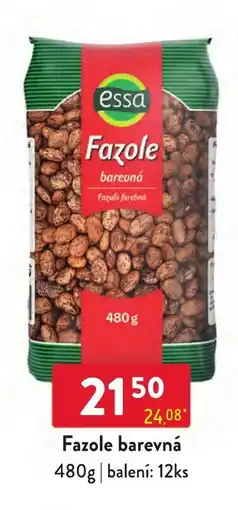 Qanto Essa fazole barevná nabídka